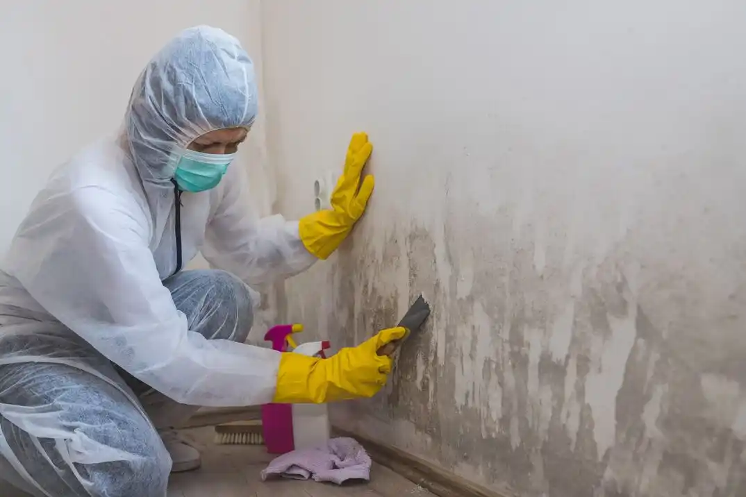water damage restoration service Burton Heights Standish